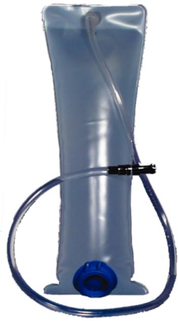 Bladder