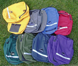 Economy Pannier - Limited Color
